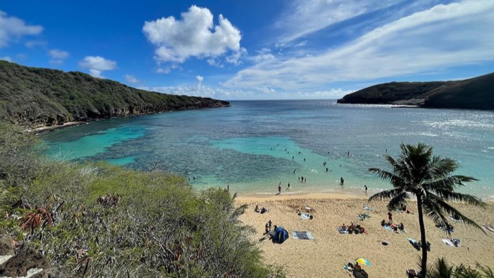 ハナウマ湾一時閉鎖を延長、再開は8月19日予定