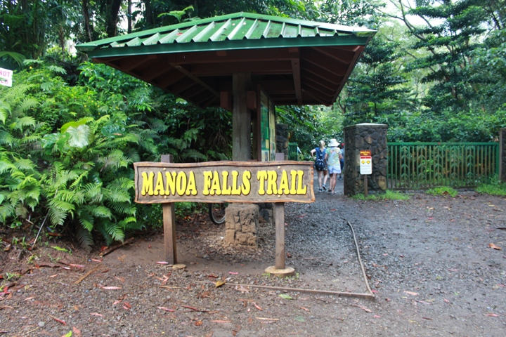 ハワイで朝活！初心者にも人気のマノアの滝ハイキング