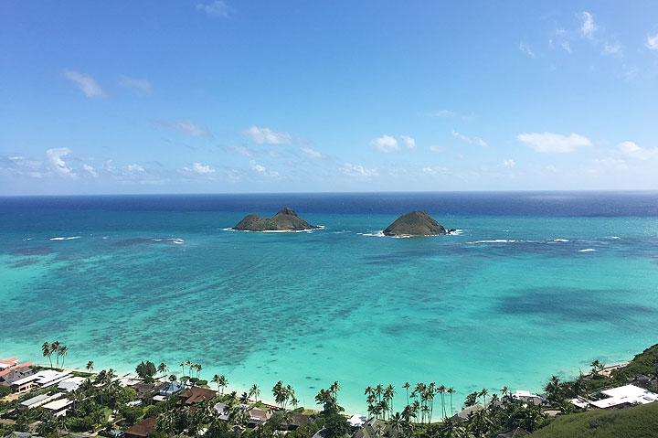 オーシャンビューで楽しむロコモコ＆シーフード