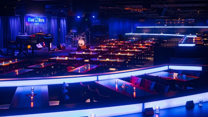 ブルーノート・ハワイで楽しむハワイの夜！8月の注目アーティストを紹介