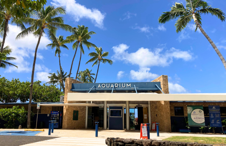 オーシャンビューで楽しむロコモコ＆シーフード