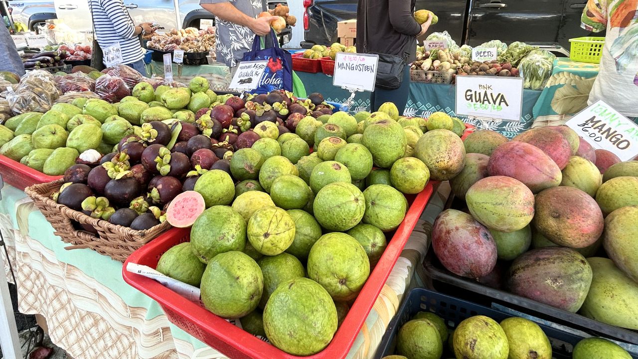 カカアコファーマーズマーケット完全ガイド｜行き方・価格・おすすめをまとめて紹介