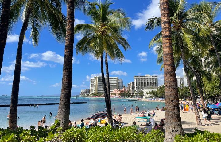 オーシャンビューで楽しむロコモコ＆シーフード