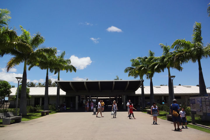 オーシャンビューで楽しむロコモコ＆シーフード