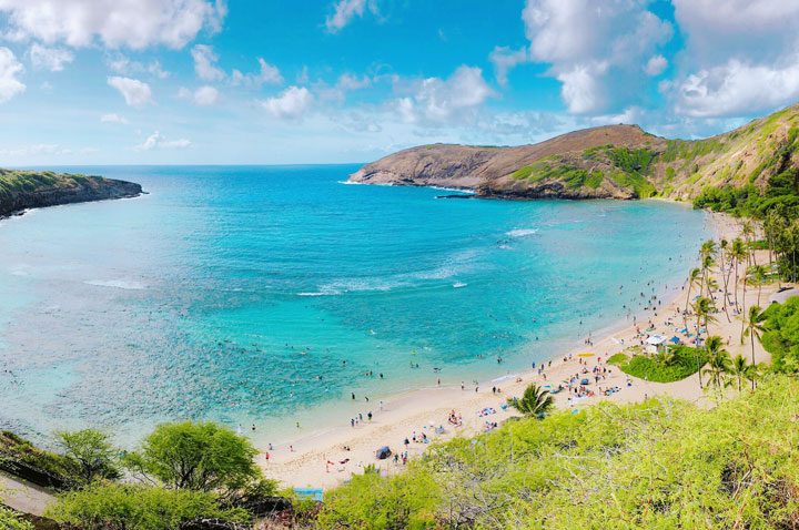 オーシャンビューで楽しむロコモコ＆シーフード