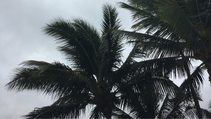 ハワイ諸島で週末から大雨続く