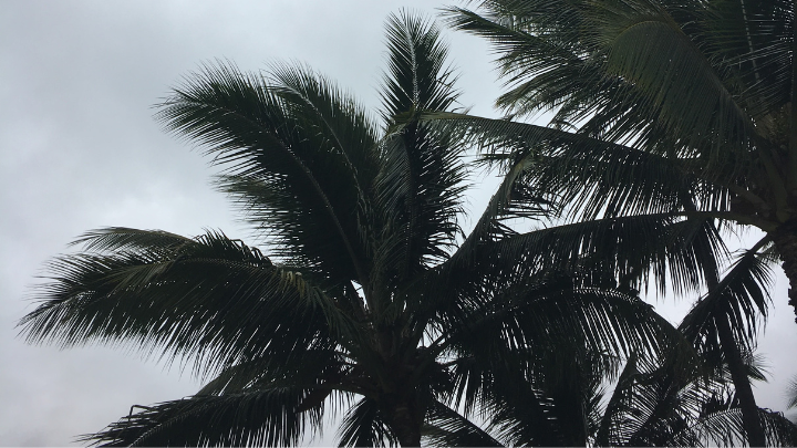 ハワイ諸島で週末から大雨続く