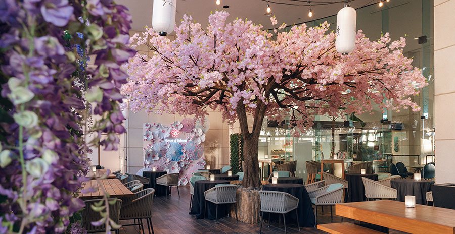 ハウス・オブ・サクラ