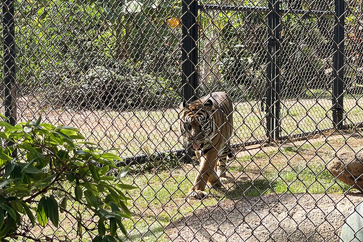 ホノルル動物園
