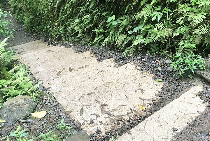 マノアフォールズ