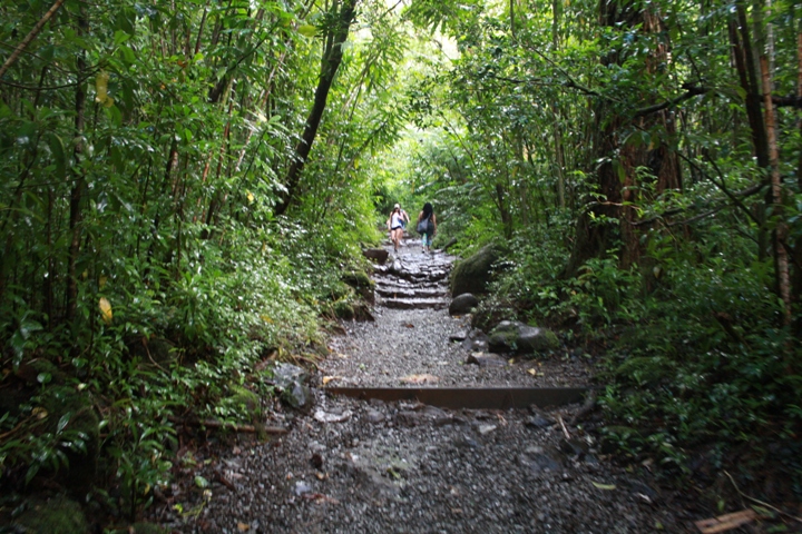 マノアフォールズ