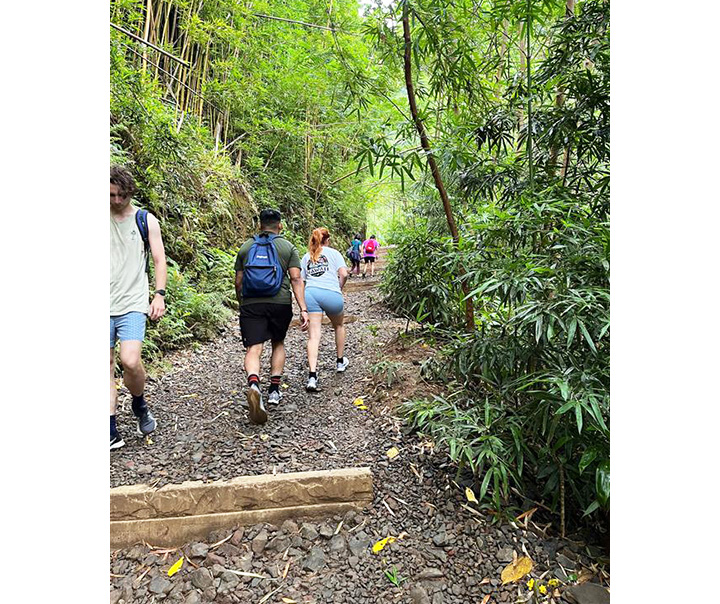 マノアフォールズ