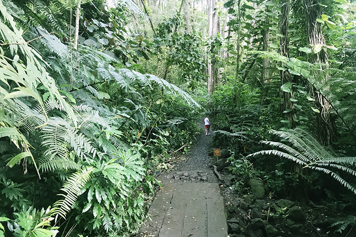 マノアフォールズ